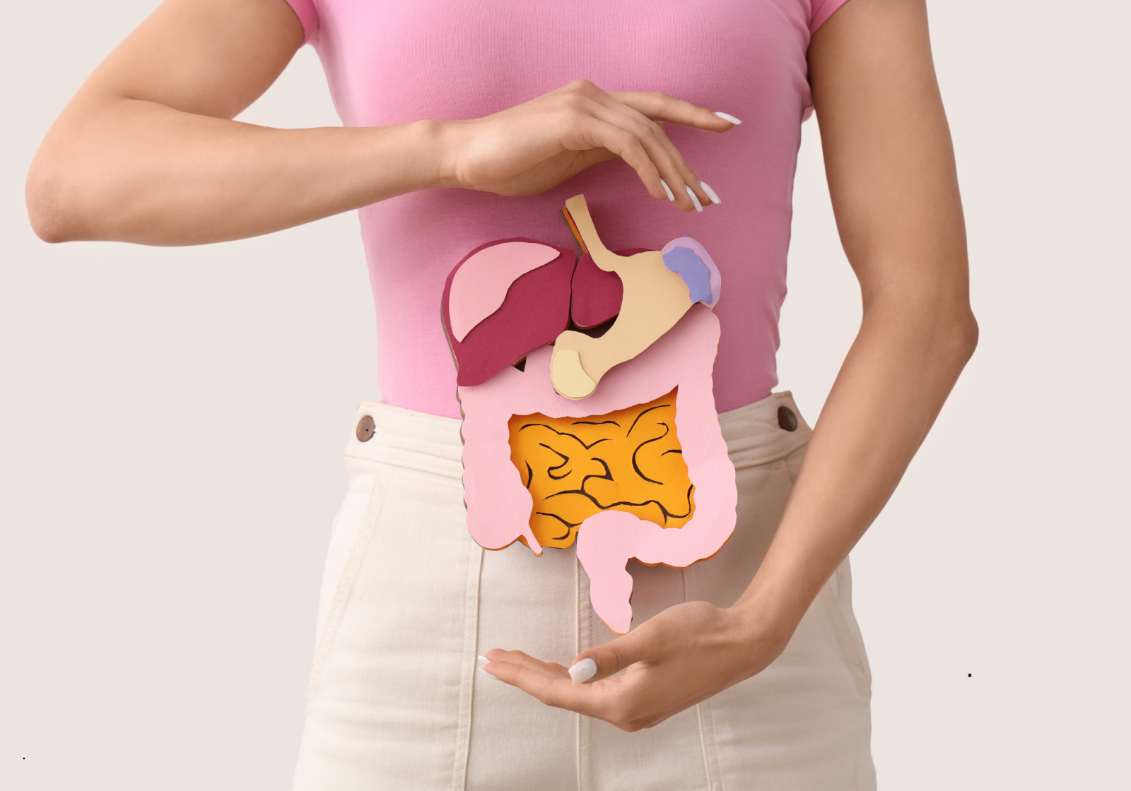 BAĞIRSAK SAĞLIĞI NEDEN BU KADAR ÖNEMLİ